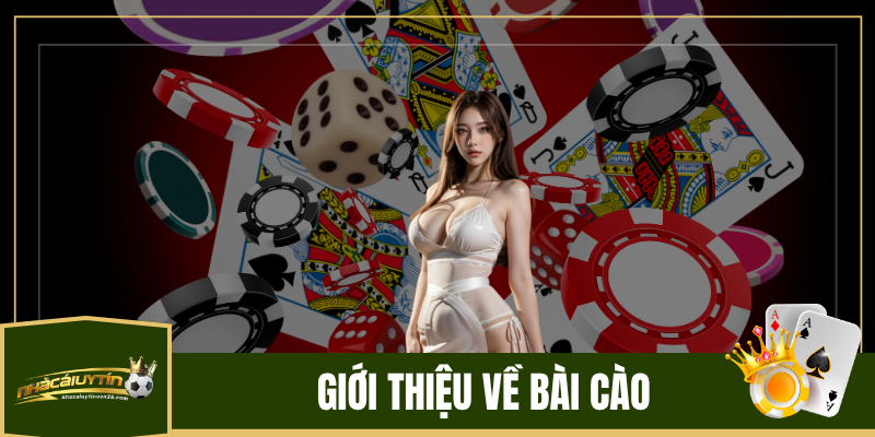 Giới Thiệu Về Bài Cào